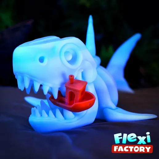 Hai Skelett – Bild 3